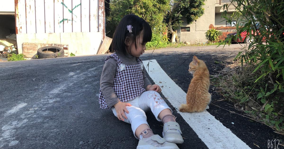 Nina brown check top and kitten